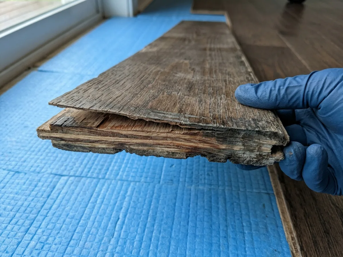 Engineered hardwood plank with its top veneer peeling away from the plywood core at a swollen edge